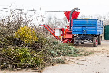 Heap of tree brunches at green recycle plant