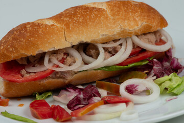 Panino farcito con insalata di pomodoro e tonno II
