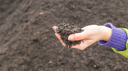 Hands holding arable compost soil in farm