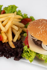 Hamburger e Patatine IV