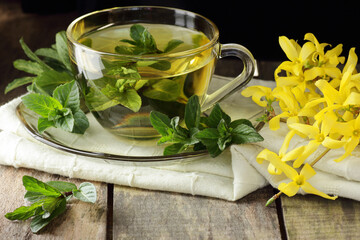 Mint or peppermint herbal tea in glass cup with fresh leaves and forsythia flowers on fabric on rustic background, closeup, naturopathy and aromatic spring floral teas concept