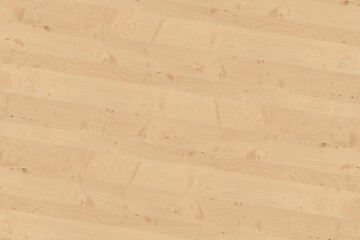 birch wooden background texture structure backdrop