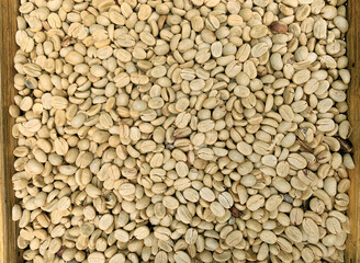 Dried coffee beans on top view, After  the process is dry with sunlight and next process to Separate the parchment and the raw beans.