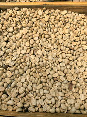 Dried coffee beans on top view
