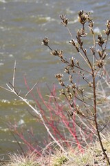 The region of Lachute in southern Quebec 