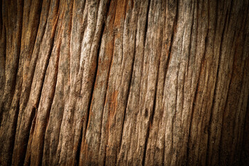 Old wood cracked texture, Seamless tree bark texture, Endless wooden background for web page fill or graphic design.	