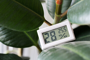 A device for measuring humidity and temperature and a plant - obrazy, fototapety, plakaty