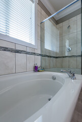 Fragment of a luxury bathroom