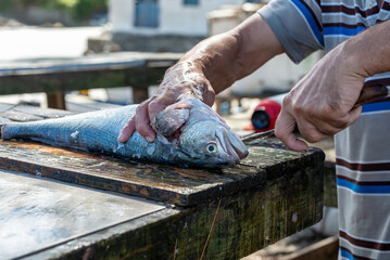 homem pescador limpando peixe na praia