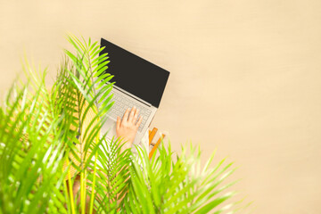 Woman with laptop sitting under palm tree branches on the sand of beach . Summer vacation. Top view