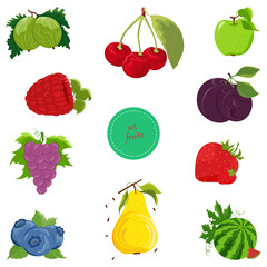 Fruit set. Vector illustration of colorful fruits