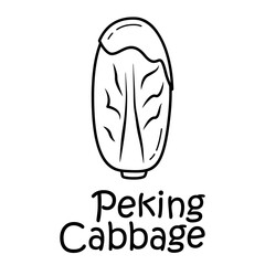 A set of three peking cabbage objects with the inscription 