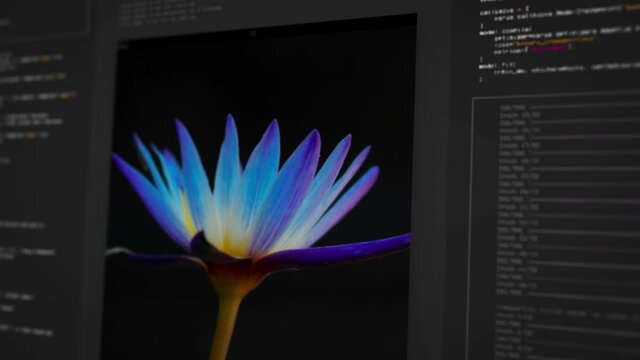 Computer screen with realistic interface of neural network software learning process. Classification of colorful flower images is the subject of the study. 