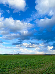Clouds over field