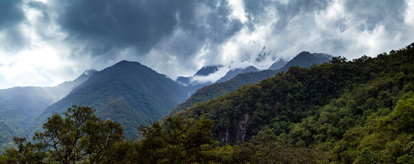 Amazon Cloud Forest in Peru, panoramic view of the tropical jungle on the northeast slope of the Andean mountain range.