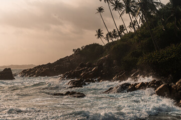 Skalne wybrzeże na tle oceanu, fal i palm o zachodzie słońca.
