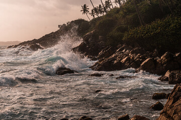 Skalne wybrzeże na tle oceanu, fal i palm o zachodzie słońca.