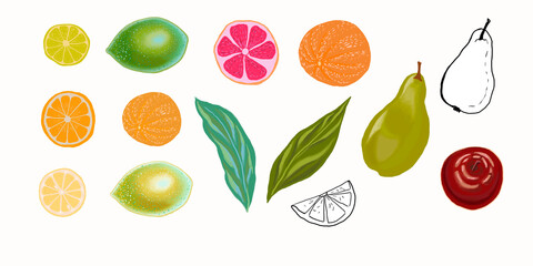 Citruses lemon lime orange grapefruit illustration fruit hand drawn print textiles patern seamless print textiles vegetarian food juice jam
