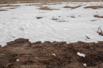 Snow melts on the grass in spring.
