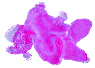 pink watercolor stain element