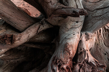 Piękne naturalne tło, drewniany konar pełen pęknięć, strukturalna tekstura.