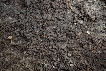 Dirt ground in the backyard texture background
