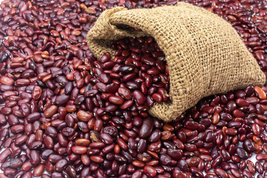 Fresh organic red kidney beans or rajma in a sackcloth bag.