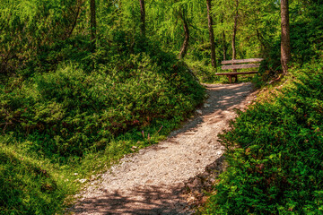 Obraz premium Wooden bench on hiking trails in the Dolomites, Italy.