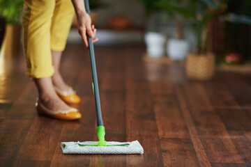 Modern woman in sunny day doing housekeeping - obrazy, fototapety, plakaty