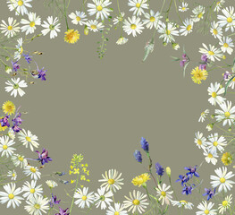 Frame of watercolor multicolored wildflowers and daisies