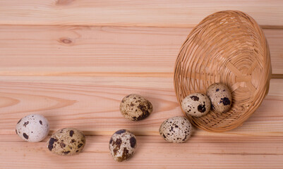 easter background. roll the quail eggs out of the basket. space for text