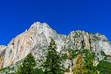Tall Rocky Mountain peak reaching above the green forest into the blue sky.