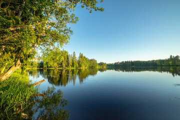 Fototapeta na wymiar Landscape on a blue forest lake on the Karelian Isthmus in the Leningrad region. Russia