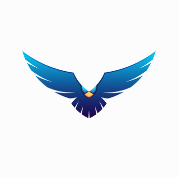 Wild bird logo design. Vector illustration of abstract blue bird flying
