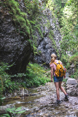 Naklejka premium Tourist hiking in mountain trail. Woman with backpack is walking at stream in rocky valley