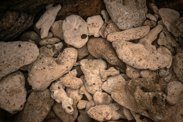 Fragmenty rafy koralowej, naturalne tło tekstura. skutki globalnego ocieplenia. - obrazy, fototapety, plakaty
