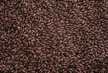 colored malt grains for making light and dark malt craft beer
