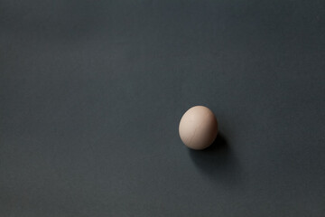 One egg . Single white poultry egg