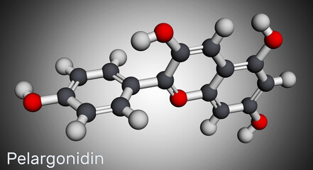 Pelargonidin molecule. It is anthocyanidin cation, plant pigment, orange color. Molecular model. 3D rendering.