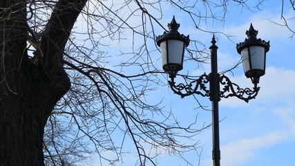Fototapeta na wymiar A lamppost, as well as a part of a tree with branches against a blue cloudy sky.