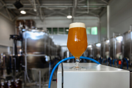 View of the brewery. Beer equipment. Beer tanks.