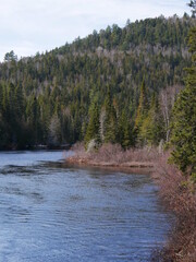 river in the woods