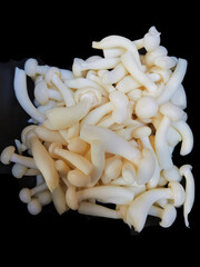 Mushroom product is raw material cooking omelet.