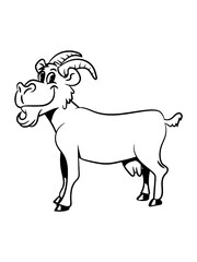Ziege meckern lächeln 