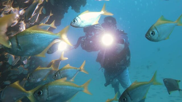 A scuba diver operating an underwater camera set-up attached with bright lights swims slowly through a large school of darting fish as he captures and records the underwater action