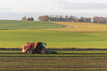 Fototapeta premium Tracteurs