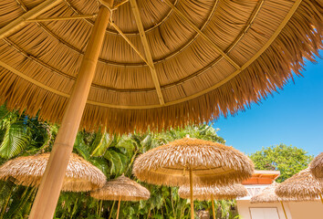 Fototapeta premium Beach straw umbrella on sky background.