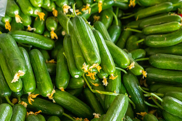 Fresh vegetable for sales in turkish market in Antalya, Turkey