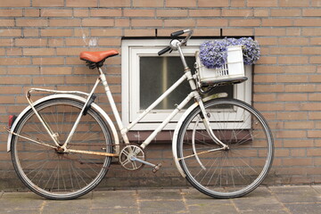 Fototapeta na wymiar White Vintage Bicycle with Fake Purple Flowers in a Basket in Amsterdam, Holland