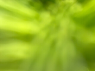 green bokeh background